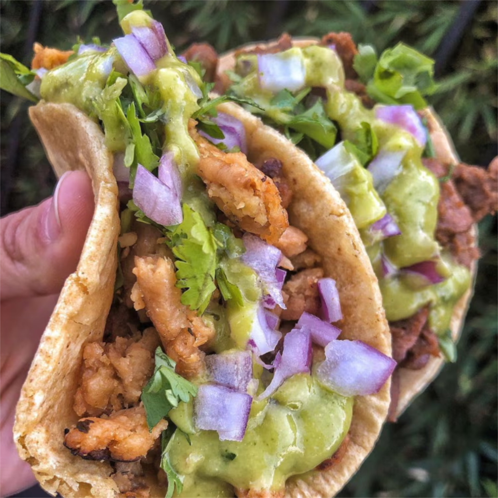 Solo Bundle (2 street tacos)