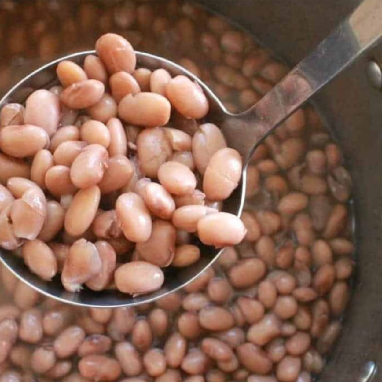 Full Tray of Peruvian Beans