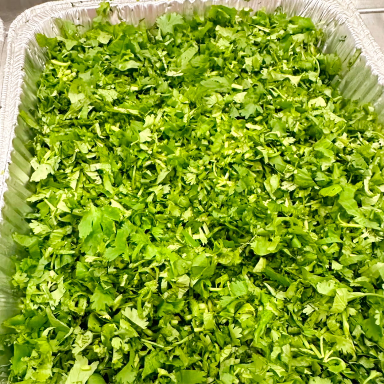 Half Tray of Cilantro